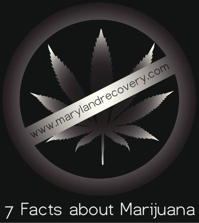 7 Facts About Marijuana-www.marylandrecovery.com
