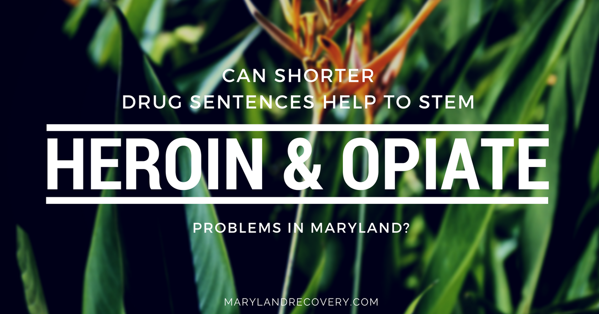 Can Shorter Drug Sentences Help To Stem Heroin And Opiate Problems In Maryland?