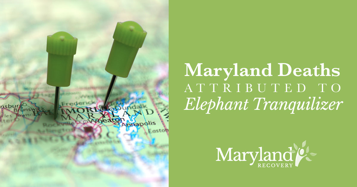 Maryland Deaths Attributed to Dangerous Elephant Tranquilizer Carfentanil
