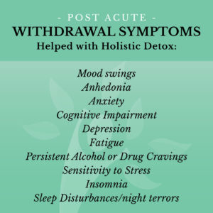 What is Holistic Drug and Alcohol Detox?
