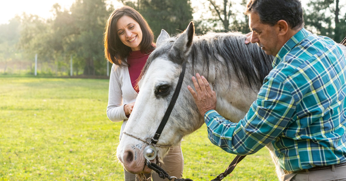  Equine-assisted learning therapy