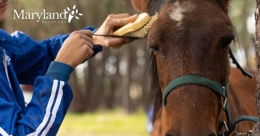 How Equine Therapy Benefits Patients in Addiction Treatment