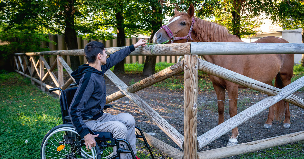  Hippotherapy 