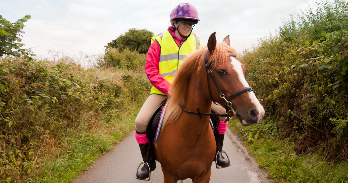 Therapeutic Riding