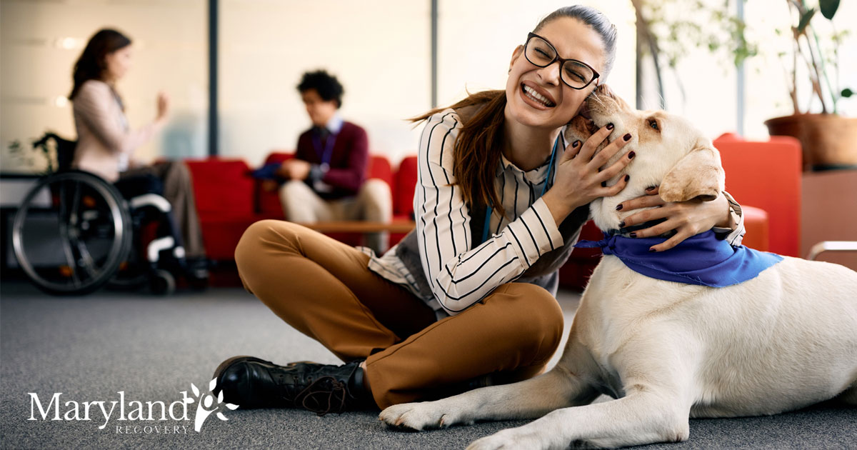 therapy dogs